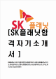 [SK플래닛-2012년동계인턴사원합격자기소개서] SK플래닛자기소개서,SK합격자소서,입사지원서   (1 )